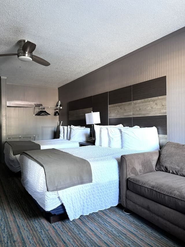 Standard Double Room, 2 Double Beds, 1 Double Sofa Bed