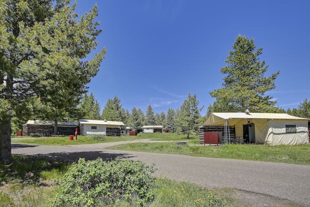 Tent Cabins (Camping - no electricity, no bed linens, shared bath)