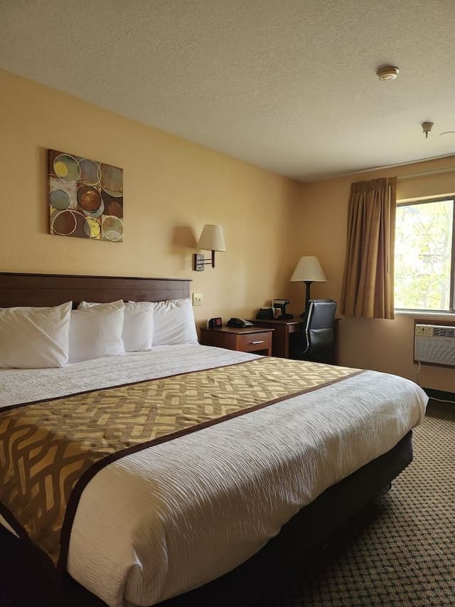 Standard Room, 1 King Bed