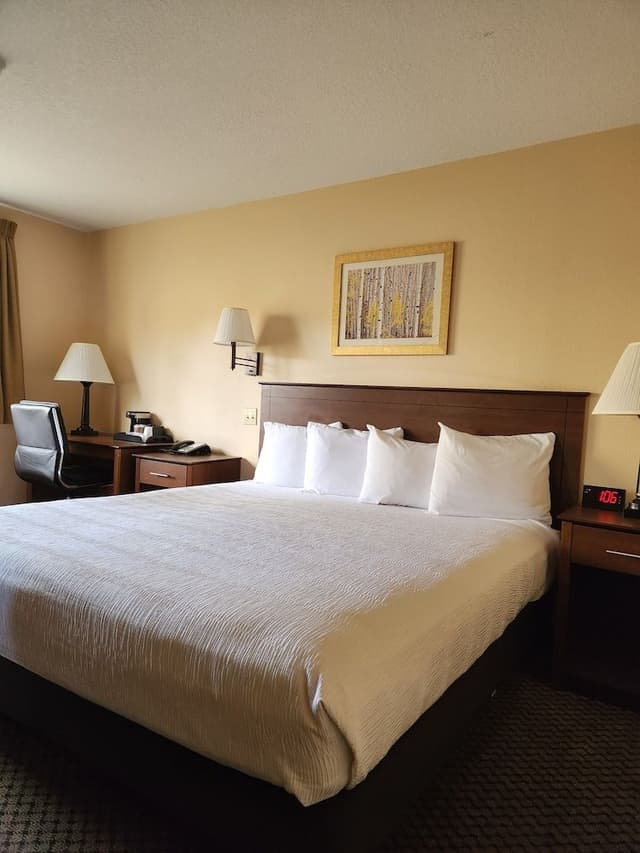Standard Room, 1 King Bed