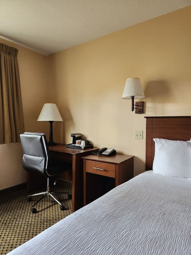 Standard Room, 1 King Bed
