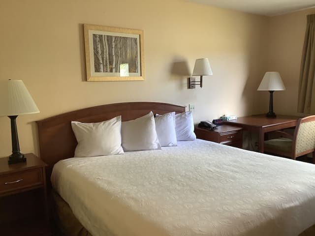 Standard Room, 1 King Bed
