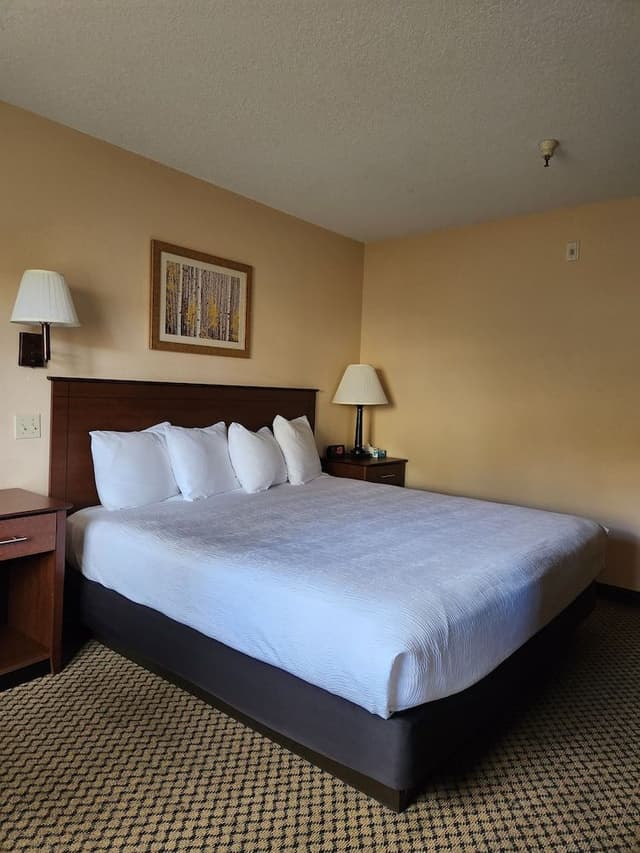 Standard Room, 1 King Bed