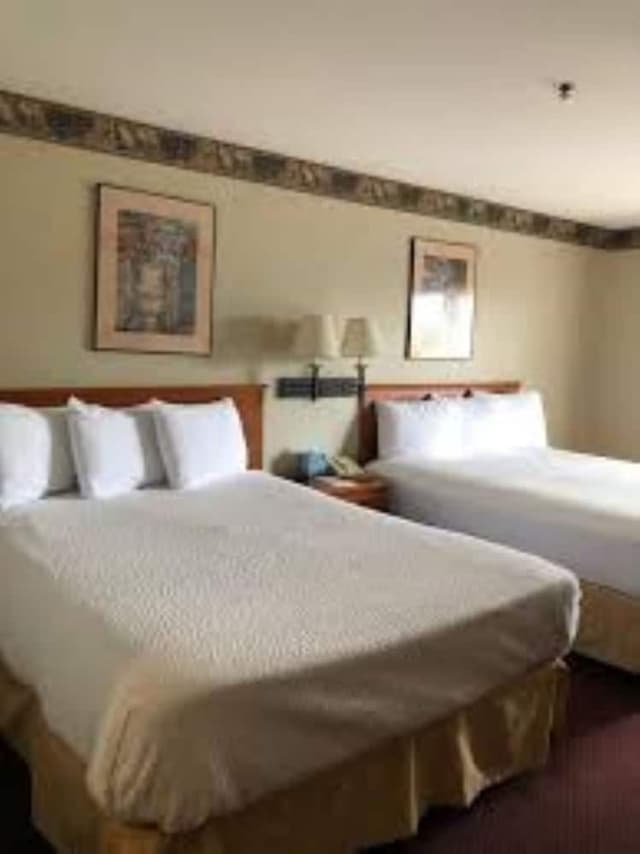 Standard Room, 2 Queen Beds