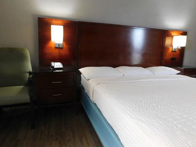 Room, 1 King Bed