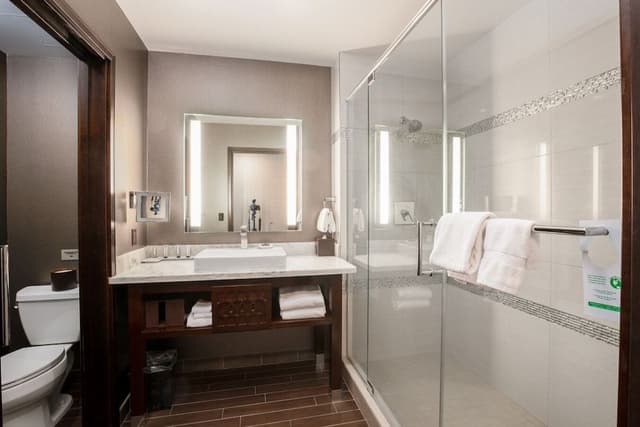 Deluxe Room, 1 King Bed - Adult Only 21+ (Viejas Hotel)