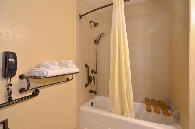 Standard Room, 1 King Bed, Accessible, Bathtub