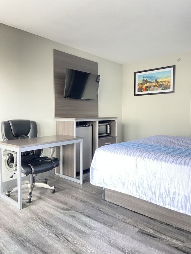 Room, 1 King Bed