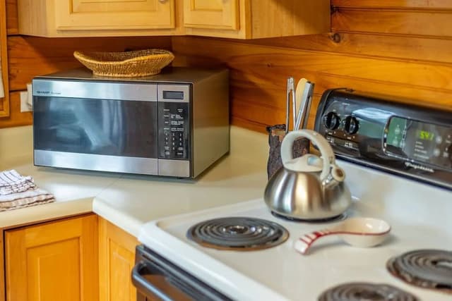 Cabin, Private Bathroom (Mount Mitchell Cabin - No Breakfast, No Pets)