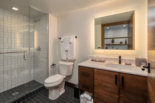 Deluxe Room, 1 King Bed, Mountain View