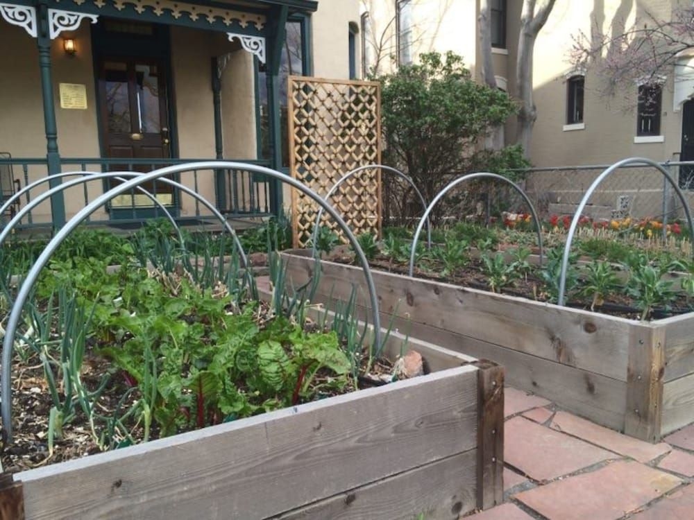 Queen Anne Bed And Breakfast4