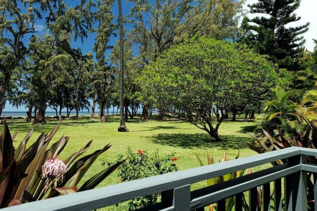 Coast Cottage, 2 Bedroom, Oceanfront (King + Queen or King + 2 Twins)