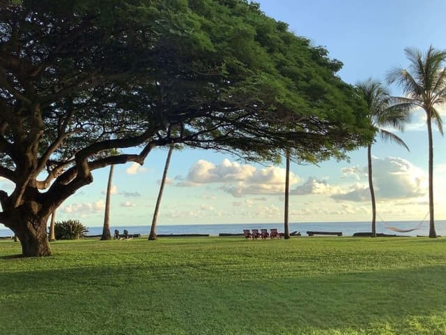 Cast Cottage, 2 Bedroom, Ocean View (King + Queen or King + 2 Twins)