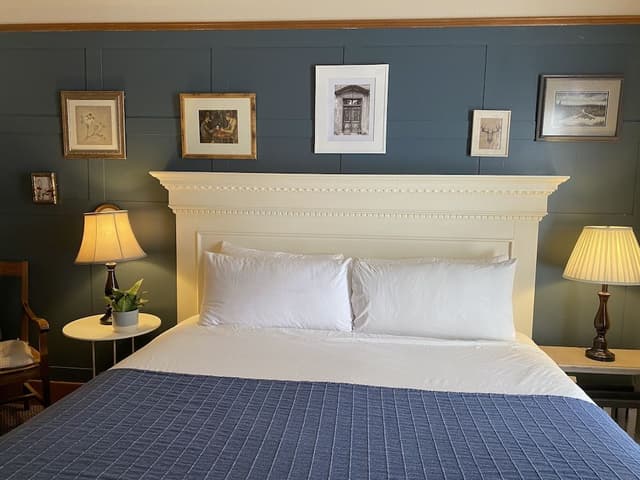 Room, 1 King Bed