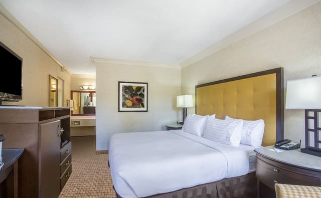 Standard Room, 1 King Bed (South Building)