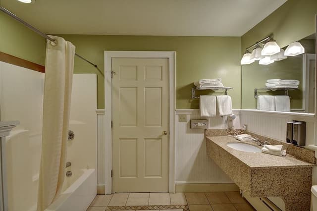 Suite, 1 King Bed with Sofa bed