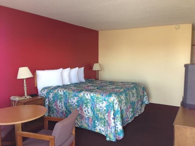 Single Room, 1 King Bed