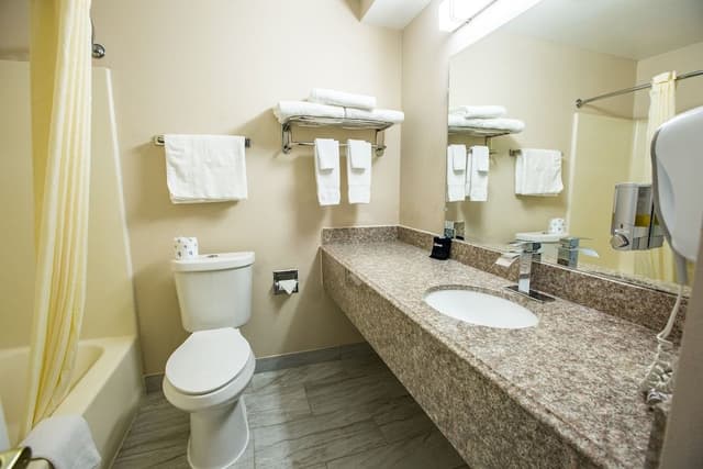 Deluxe Room, 1 King Bed, Non Smoking (accessible)