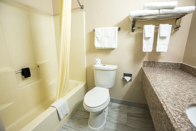 Deluxe Room, 1 King Bed, Non Smoking (accessible)