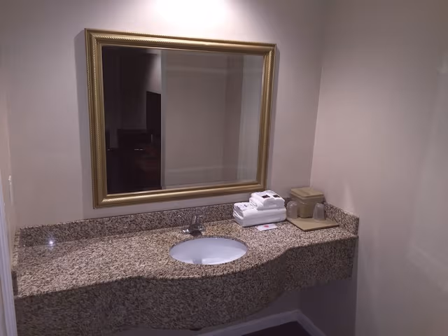 Deluxe Room, 1 King Bed (Non-Smoking/Smoking)