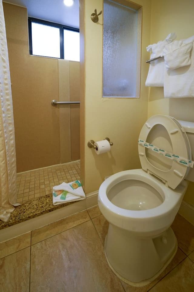 Standard Room, 1 Bedroom, Kitchen, Ocean Front studio