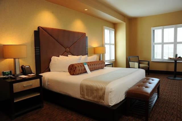 Room, 1 King Bed