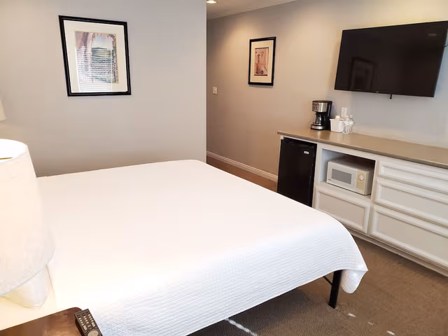 Deluxe Suite, 1 King Bed with Sofa bed, Kitchen