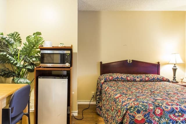 Family Double Room, 1 Bedroom