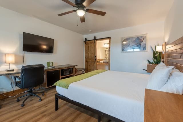 Deluxe Single Room, 1 King Bed