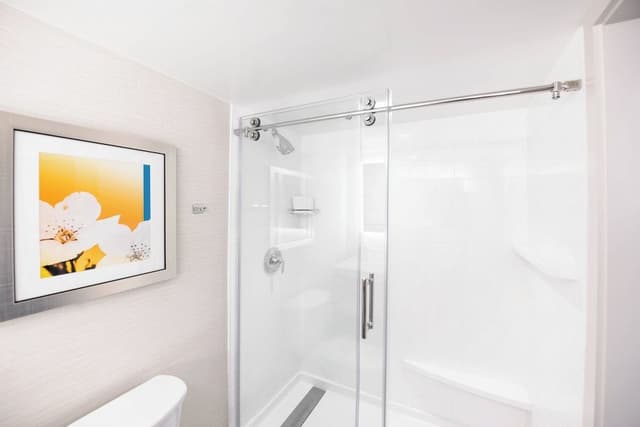 Room, 1 King Bed