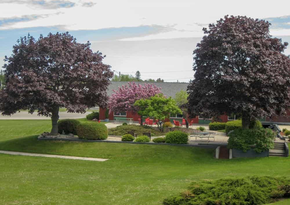 Cedar Hill Lodge
