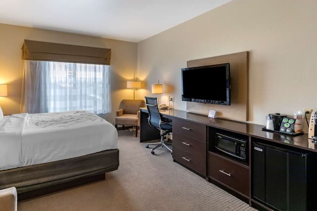 Room, 1 King Bed, Accessible, Non Smoking (Accessible Tub)