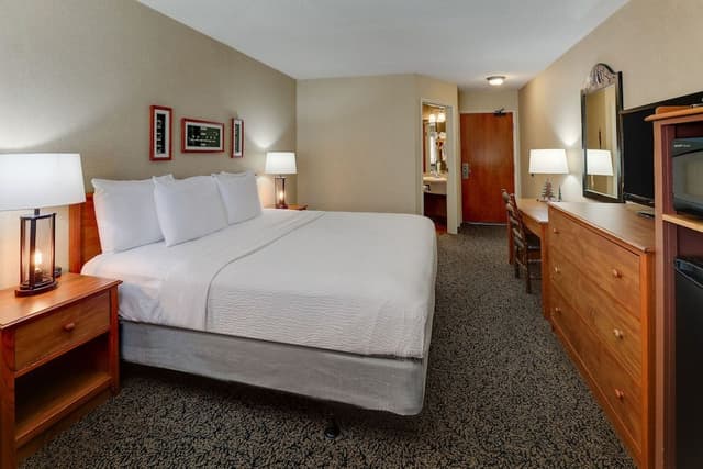Deluxe Room, 1 King Bed, Non Smoking