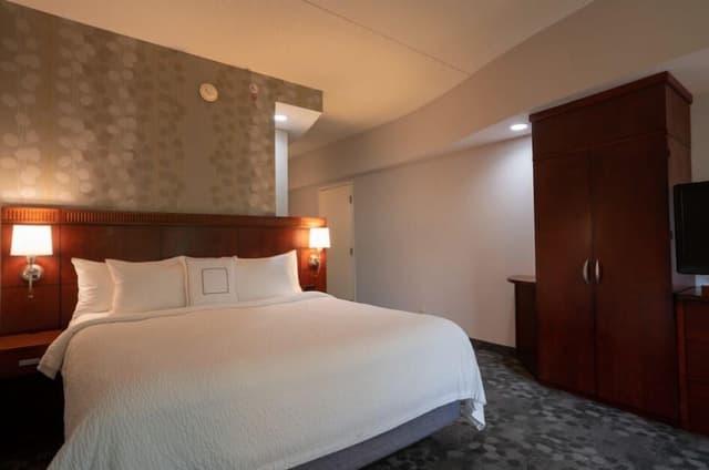 Room, 1 King Bed with Sofa bed