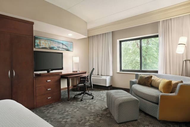 Room, 1 King Bed with Sofa bed