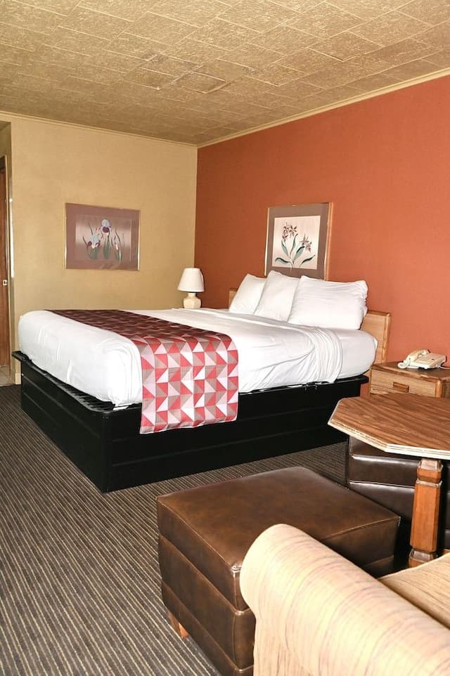 Single Room, 1 King Bed, Non Smoking