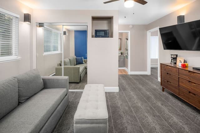 Standard Suite, 1 King Bed with Sofa bed