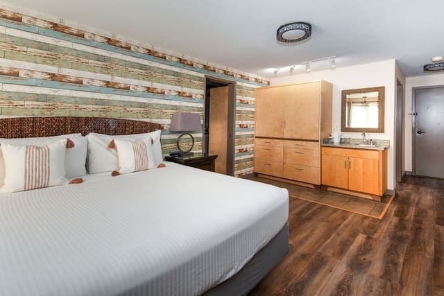 Suite, 1 King Bed with Sofa bed