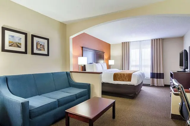 Suite, 1 King Bed with Sofa bed, Non Smoking