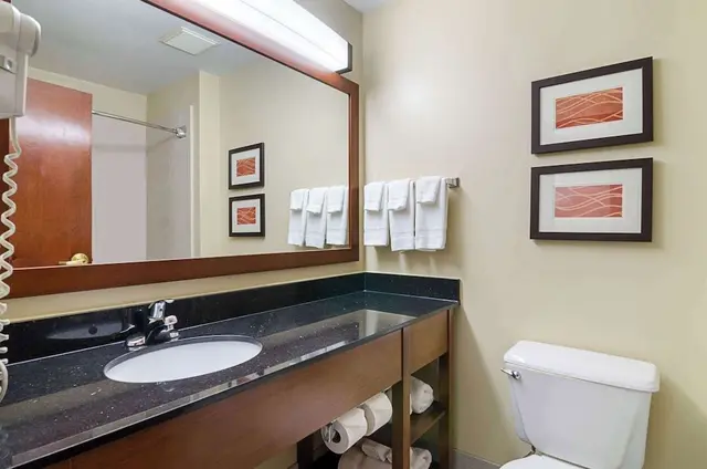 Suite, 1 King Bed with Sofa bed, Non Smoking