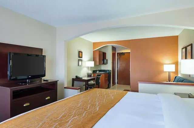 Suite, 1 King Bed with Sofa bed, Non Smoking