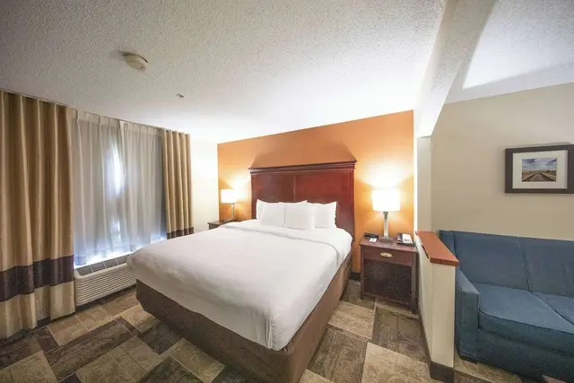 Suite, 1 King Bed with Sofa bed, Non Smoking