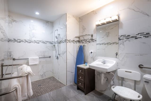 Standard Room, 1 King Bed, Accessible