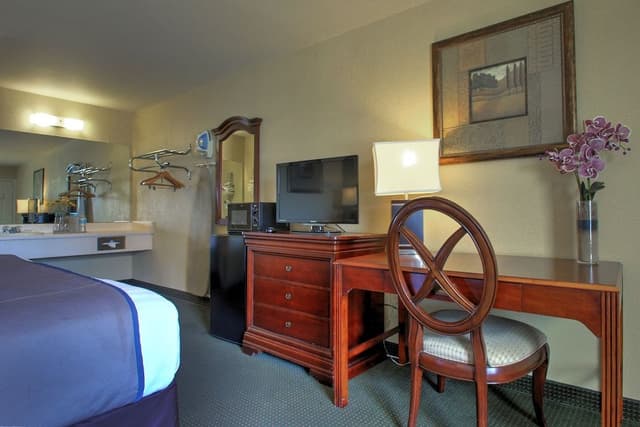 Standard Single Room, 1 Queen Bed, Accessible, Non Smoking