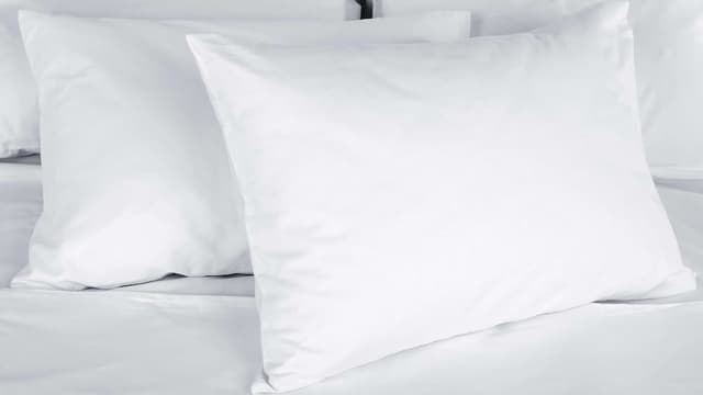Standard Room, 2 Queen Beds