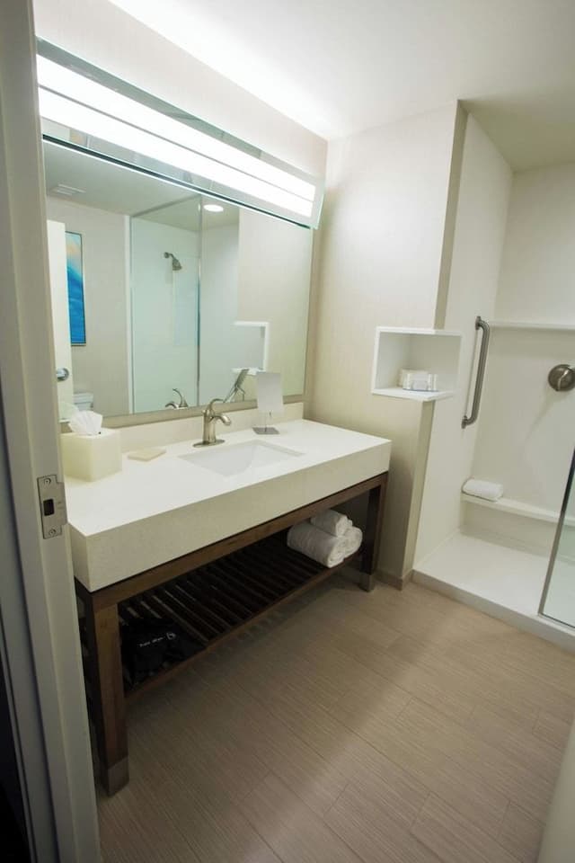 Suite, 1 King Bed