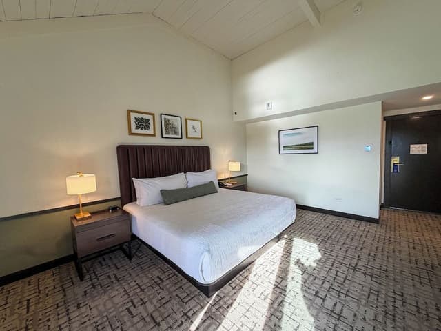 Room, 1 King Bed, Non Smoking (Golf View)