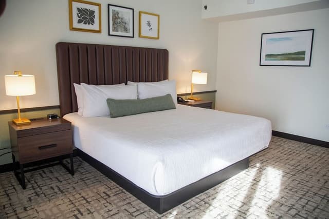 Room, 1 King Bed, Non Smoking (Golf View)