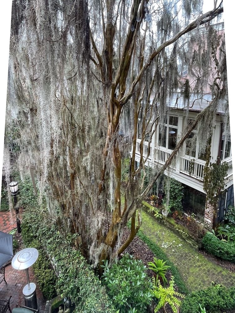 The Eliza Thompson House1