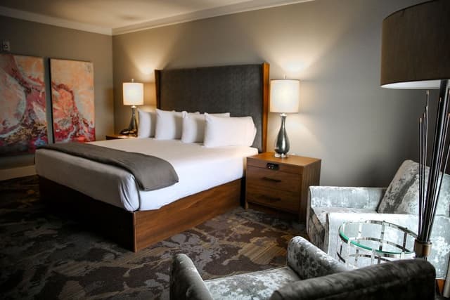 Room, 1 King Bed